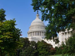 Congress Seeks to Extend Voting Rights to Annoying Little Brothers Congress Seeks to Extend Voting Rights to Your Stupid Little Brother - Washington DC